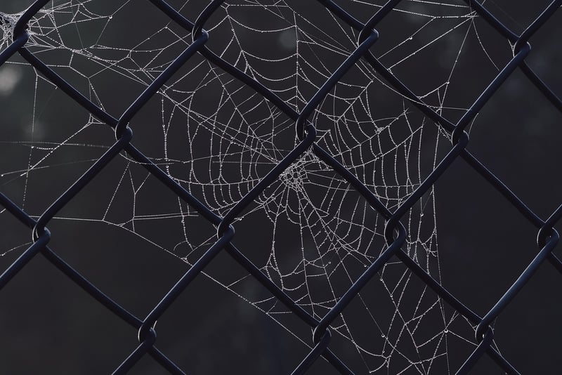 Netting