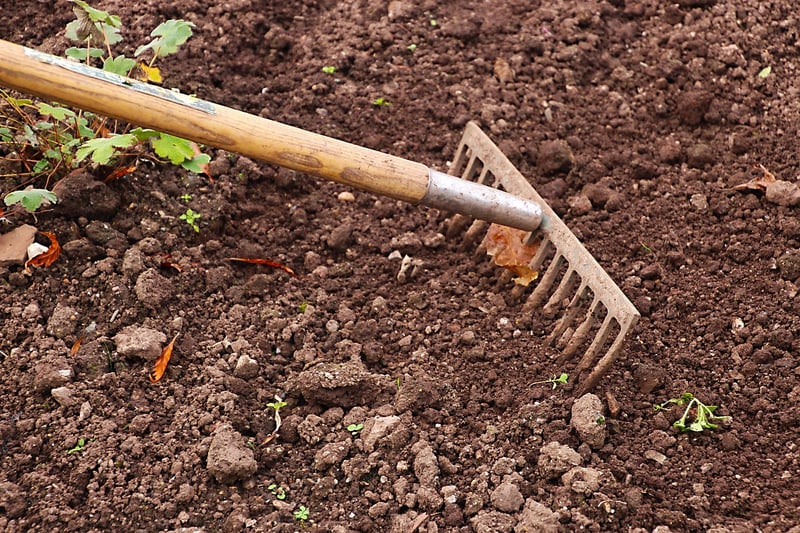 Gardening